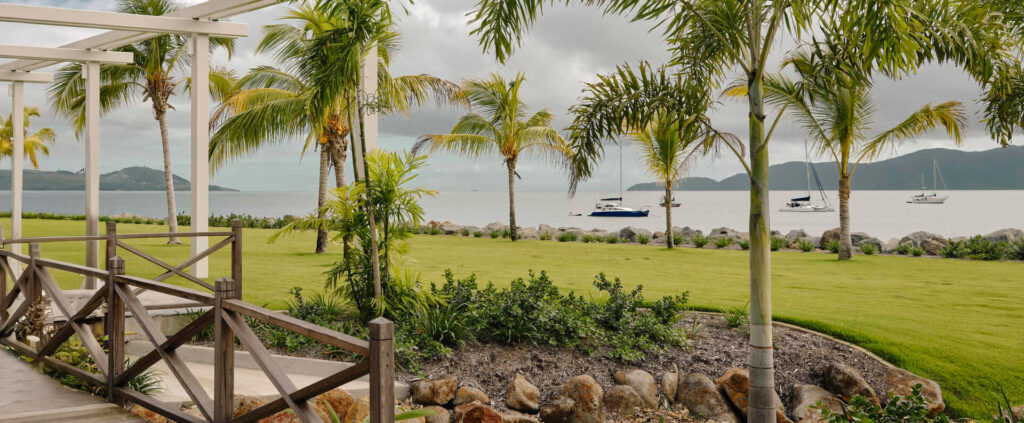 Mornings over the Ardo lawn with ocean-facing views poking through the palm trees.